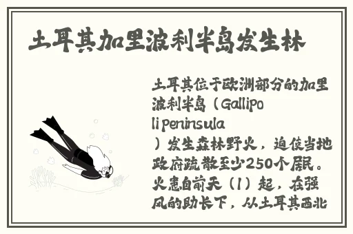 国产精品成人久久久久久久
